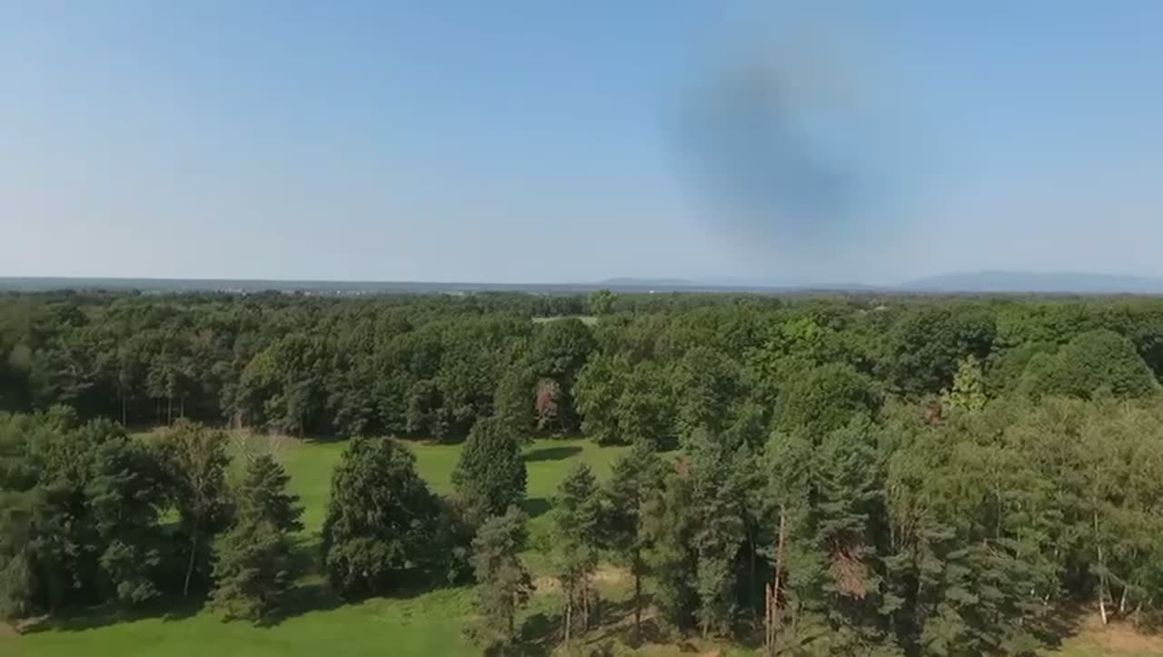 Aerial survey of the site