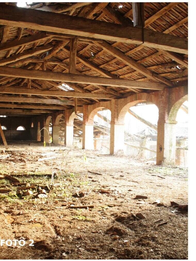Original timber roof structure